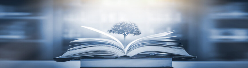 传媒十大龙头股都有哪些？