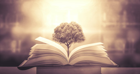 小圈中gj和sj的意思