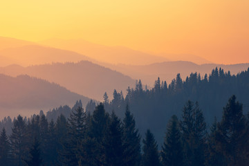 微信登录王者荣耀被纳入防沉迷怎么解除-