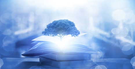 小圈中gj和sj的意思