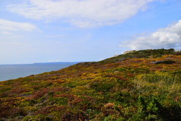 A股严重被低估的票有哪些？