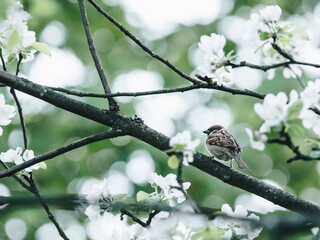 微信登录王者荣耀被纳入防沉迷怎么解除-