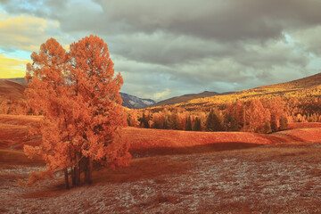 A股严重被低估的票有哪些？