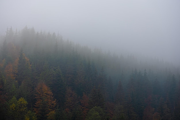 我国最大钻石为什么至今下落不明呢？