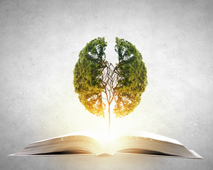 A股严重被低估的票有哪些？