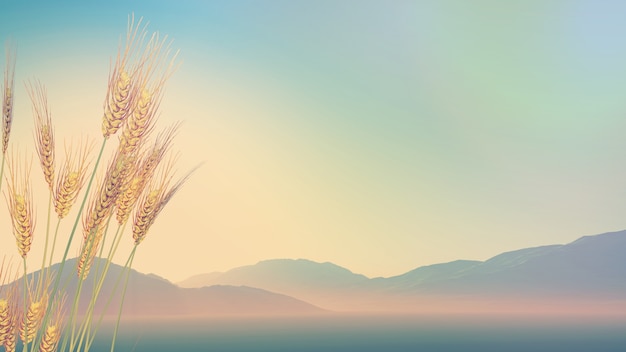 淮河的洪灾统计数据