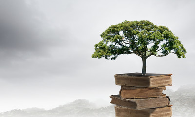 微信登录王者荣耀被纳入防沉迷怎么解除-