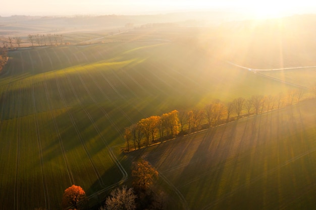 微信登录王者荣耀被纳入防沉迷怎么解除-