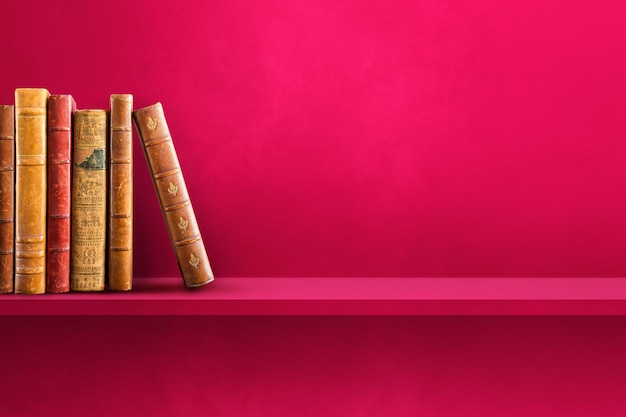 校园甜宠小说排行榜