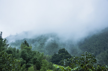 吴奇隆的主要作品